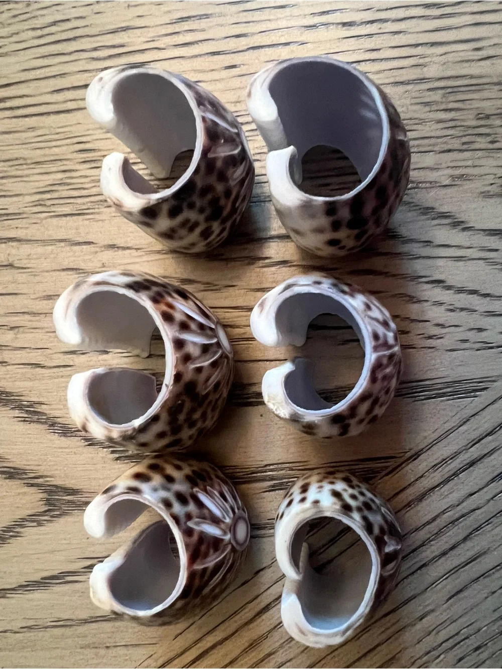 Vintage Tiger Cowrie Shell Napkin Rings set of 6